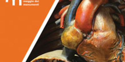MUSA/Museo Anatomico  Apertura straordinaria nei weekend del 17-18/24-25 maggio