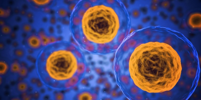 Rallentare la crescita delle cellule tumorali, lo studio sui telomeri pubblicato su Cell Chemical Biology